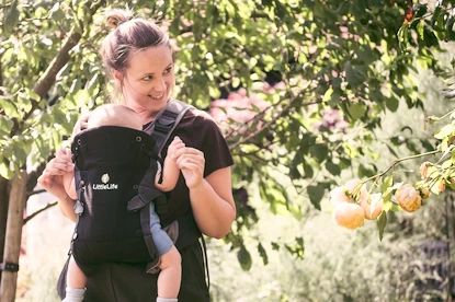Detské nosítko Little Life  Acorn Baby Carrier