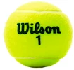 Detské tenisové loptičky Wilson Roland Garros Green (4 ks)