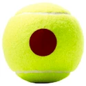 Detské tenisové loptičky Wilson Roland Garros Red (3 ks)
