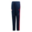 Detské tepláky adidas  Arsenal FC