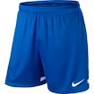 Detské trenky Nike Dri-FIT II Boy so slipami
