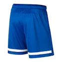 Detské trenky Nike Dri-FIT II Boy so slipami