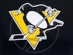 Detské tričko Levelwear Core Logo NHL Pittsburgh Penguins čierne
