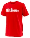 Detské tričko Wilson Team Script Red