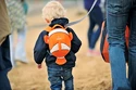 Detský batoh Little Life  Toddler Backpack