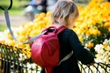 Detský batoh Little life  Toddler Backpack