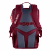 Detský batoh Salewa  Minitrek 12 BP