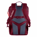 Detský batoh Salewa  Minitrek 12 BP
