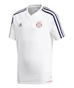 Detský dres adidas Authentic FC Bayern Mníchov tréningový 17/18 biely