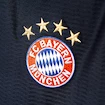 Dres adidas FC Bayern Mníchov alternatívny 15/16