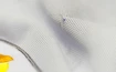 Dres adidas Real Madrid CF domáci 16/17 (použitý tovar)