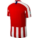Dres Nike