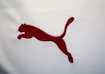 Dres Puma