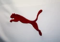 Dres Puma