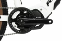 Elektrobicykel Rock Machine  Torrent INT e90-29
