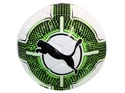 Futbalová lopta Puma