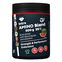 GF Nutrition  Intra Amino Blend 500 g