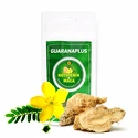 GuaranaPlus  Kotvičník + Maca prášek 100 g