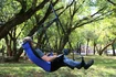 Hamaka Eno  Lounger Hanging Chair Purple/Teal