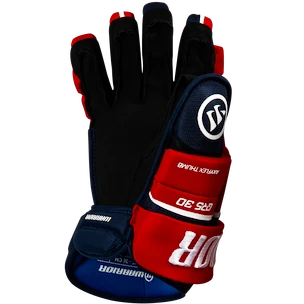 Hokejové rukavice Warrior Covert QR5 30 Black Senior