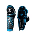 Holene True  AX7 Senior