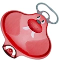 Klzák Stiga