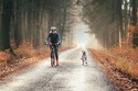Kolobežka KICKBIKE  Sport G4