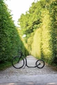 Kolobežka KICKBIKE  Sport MAX 20