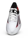 Kopačky adidas Messi 10.3 FG