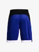 Kraťasy Under Armour UA BASELINE 10'' SHORT-BLU