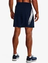 Kraťasy Under Armour UA Woven Graphic Shorts-NVY