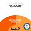 Leader  Beta Alanine + Citruline 1:1 200 g
