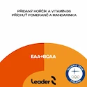 Leader EAA + BCAA 250 g