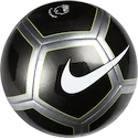 Lopta Nike Pitch Premier League