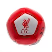 Loptička Liverpool FC Kick & Trick