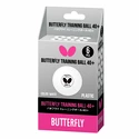 Loptičky Butterfly  Training Ball 40+ White (6 ks)