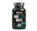 MAXXWIN  HMB Maxx 1500 120 kapslí