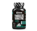 MAXXWIN  Tribulus Terrestris 90% 60 kapslí