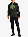 Mikina Under Armour AF Script Graphic HD-GRN