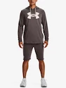 Mikina Under Armour UA Rival Terry Logo Hoodie-BRN