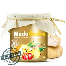 MycoMedica MedoGastro 400 g