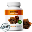 MycoMedica Ohňovec 30% 90 kapslí