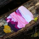 Nákrčník Bjež® Storm HILLS pink