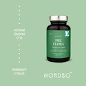 Nordbo  Probiotika Pre Flora 60 kapslí