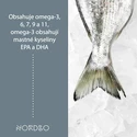 Nordbo  Scandinavian Omega-3 Trout Oil 120 kapslí