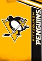 Obliečky NHL Pittsburgh Penguins Belt