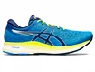 Pánska bežecká obuv Asics  Evoride