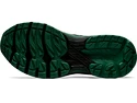 Pánska bežecká obuv Asics  GT 2000