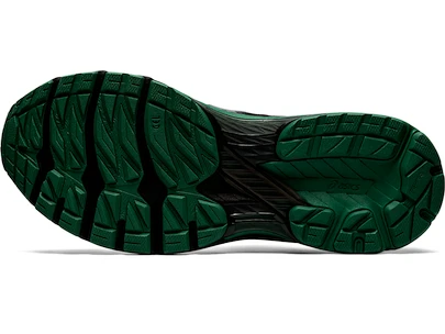Pánska bežecká obuv Asics  GT 2000