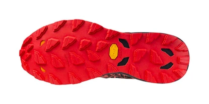 Pánska bežecká obuv Mizuno  Wave Daichi  8 Cayenne/Black/High Risk Red  UK 10